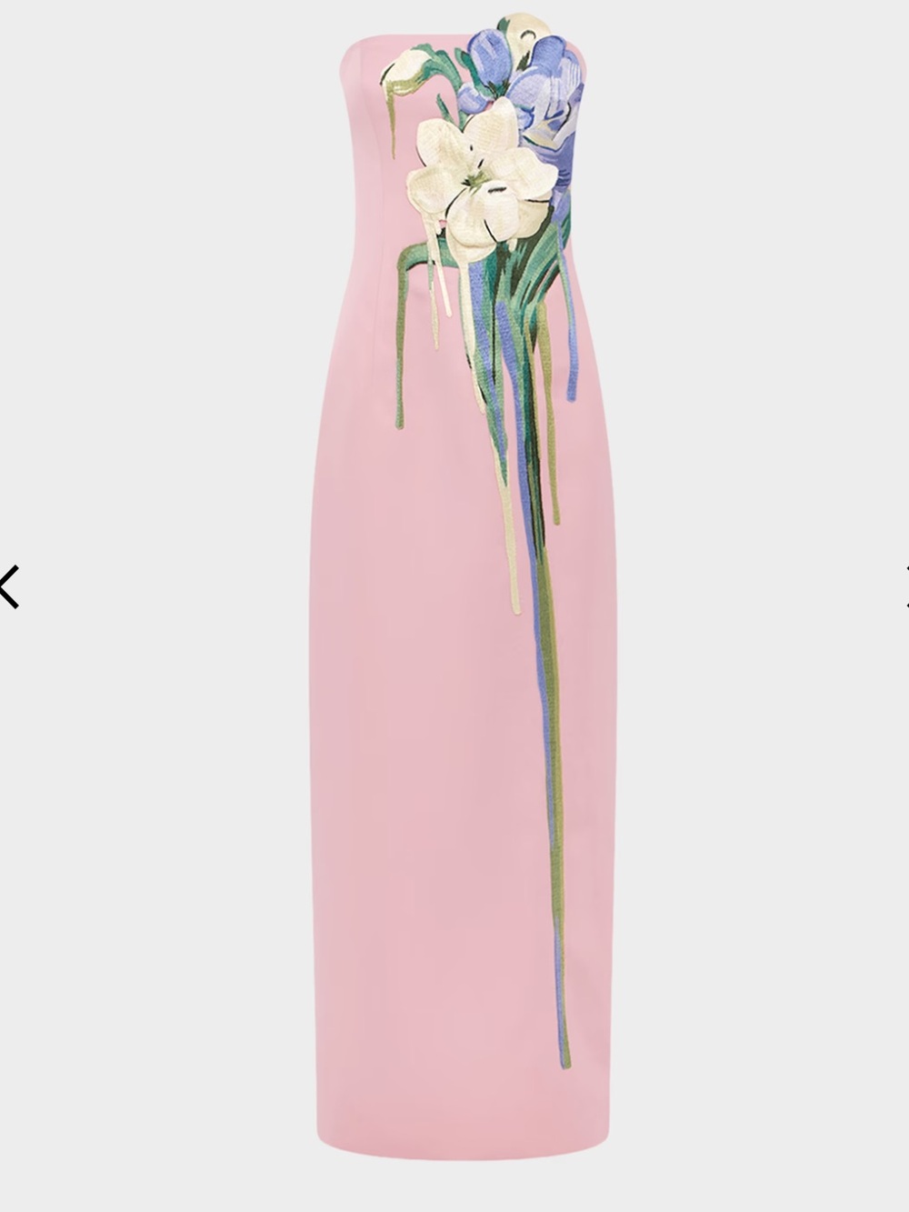 Leo lin Rayna Embroidered Bustier Maxi Dress